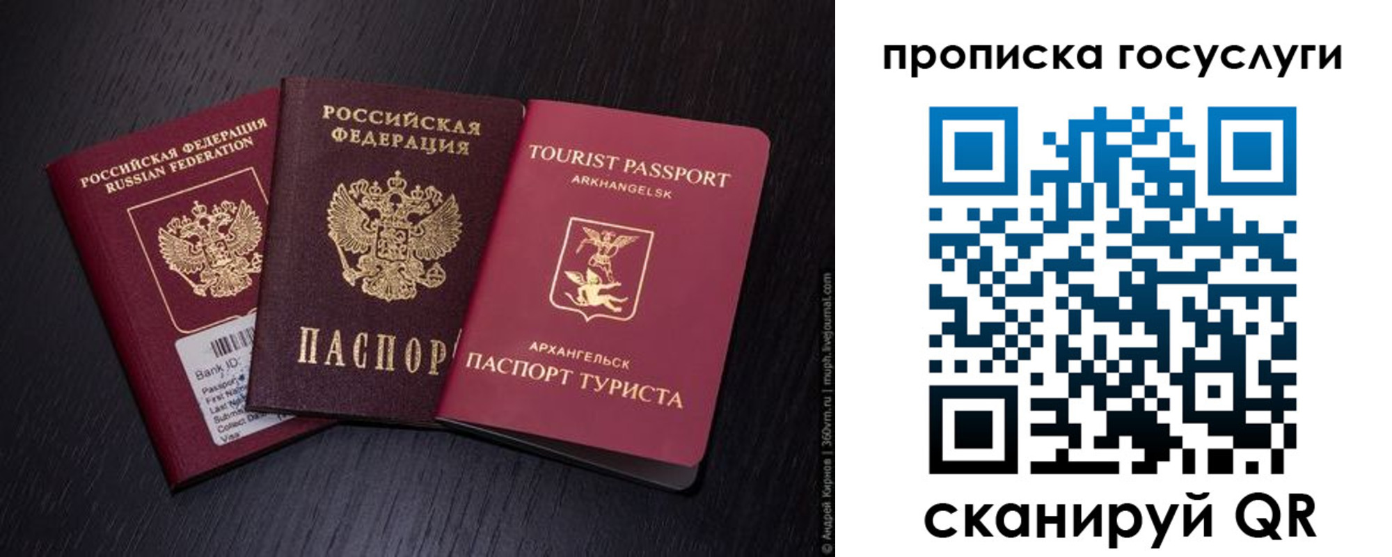 прописка 2025 в ЕАО